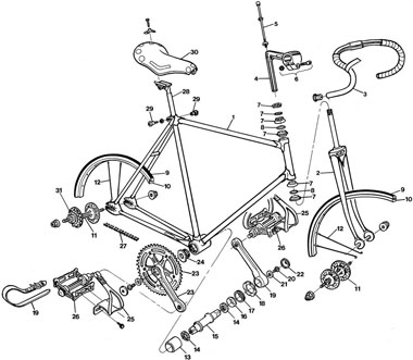 ABC della bici e del cucito: gli ultimi aggiornamenti dei corsi!
